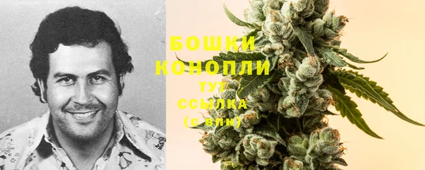 MDMA Богородицк