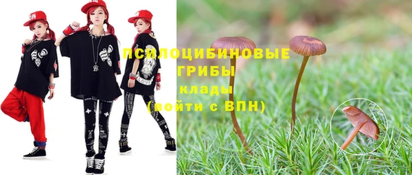 экстази Богородск