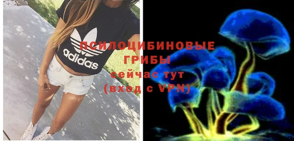 марки nbome Богданович