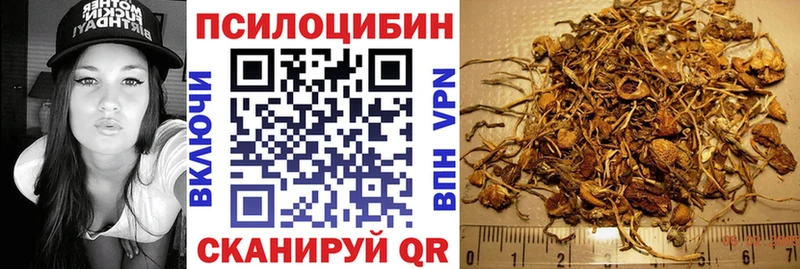 Псилоцибиновые грибы GOLDEN TEACHER  цены наркотик  мега ссылки  Кущёвская 