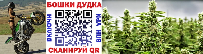 OMG вход  Кущёвская  Бошки марихуана OG Kush 